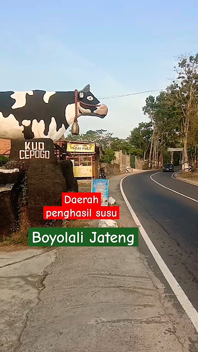 daerah penghasil susu segar Boyolali Jawa Tengah #ekonomi #sususapimurni #boyolali #jawatengah