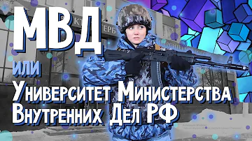 Какие есть направления в МВД