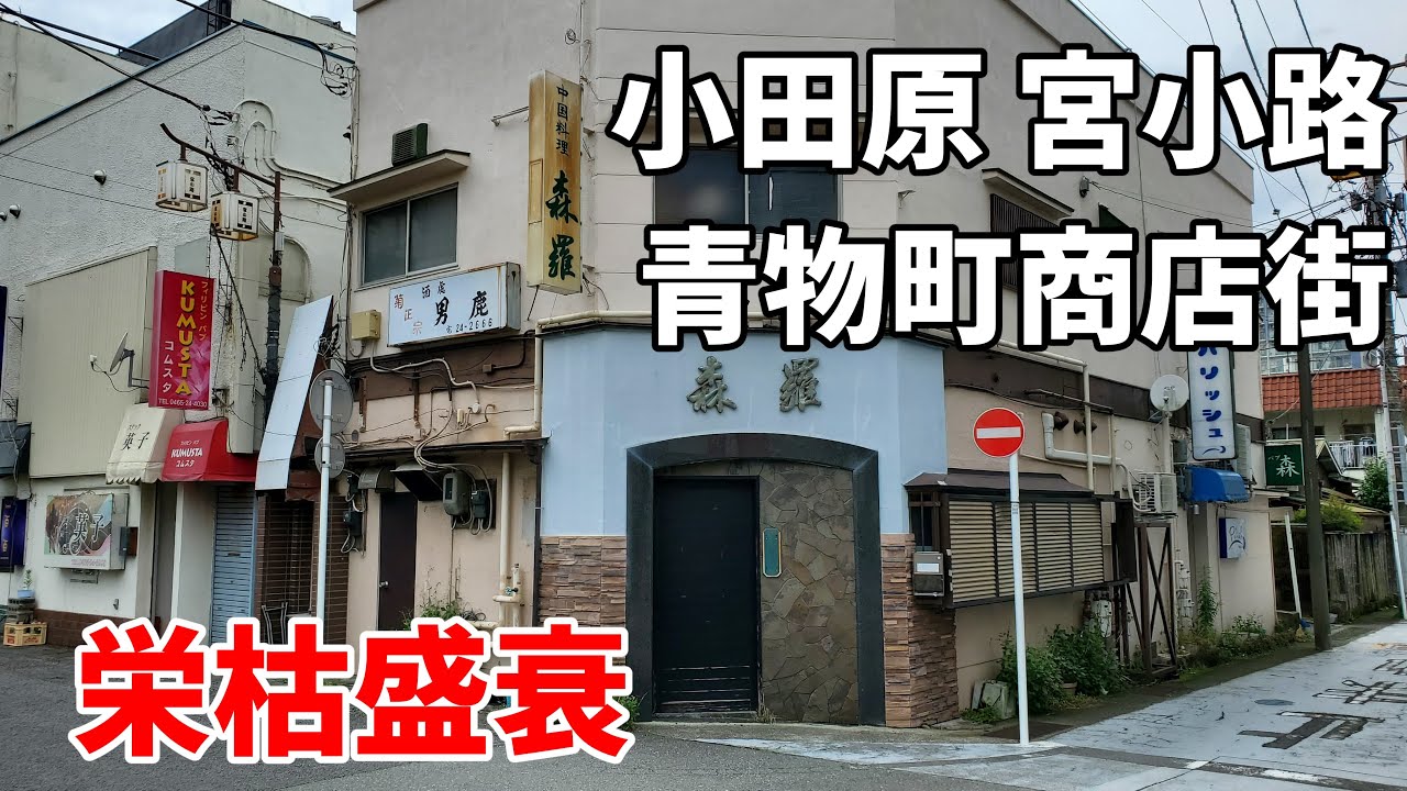 【栄枯盛衰】小田原 宮小路と青物通り商店街～城下町旧市街衰退の典型 Odawara Miyakoji Aomono street