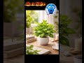 # bhai log plant kaisa laga 👀
