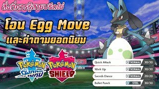 เรื่อง Egg Move และคำถามยอดนิยมใน Pokemon Sword & Shield