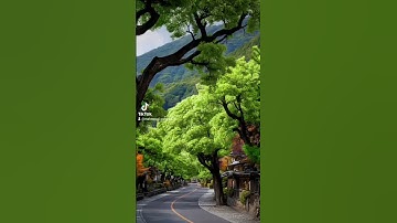 ﴿ فَمَا ظَنُّكُم بِرَبِّ الْعَالَمِينَ﴾[ سورة الصافات: 87]اللهم إني محسن الظن بك ، ومتفائل