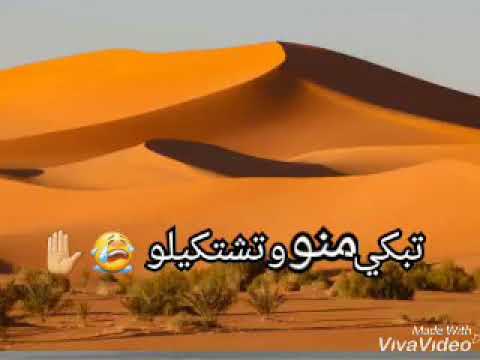 يا رمال حلتنا زولا حالات واتس اب