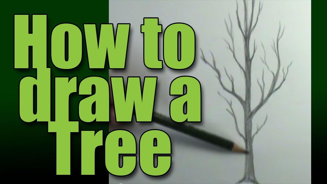 How to draw a tree - YouTube