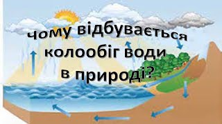 Урок 21. Чому відбувається колообіг води в природі? Я досліджую 3 клас