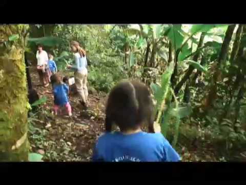 Environmental Education at the Cloud Forest School