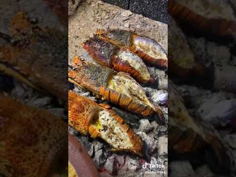 طبخه ع الفحم شارخه
