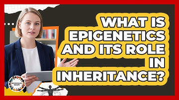 What Is Epigenetics And Its Role In Inheritance?
