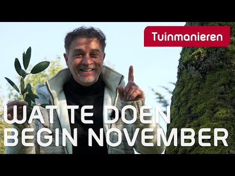 Video: Waar Te Gaan Begin November