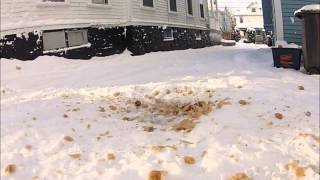 Slow Motion Explosion of Frozen Soda