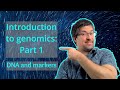 Dna and genetic markers  introduction to genomics theory  genomics101 beginnerfriendly