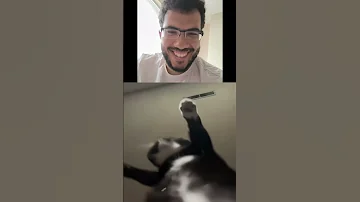نغمة تليفوني الجديدة Snow Ar Reactionvideo Fyb Reels Virals 