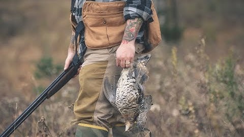 Bird Hunting Stories - Project Upland - These are Your Stories