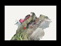 3D Scanning Florida with Just an iPhone? Polycam + LiDAR = Insane Results!