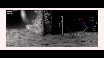 Bone cut by Modulation-assisted Machining