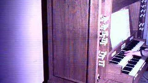 Reger Chorale prelude: Wer Weiss, wie nahe mein Ende