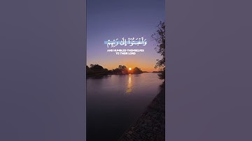 تلاوة من سورة هود  #quran