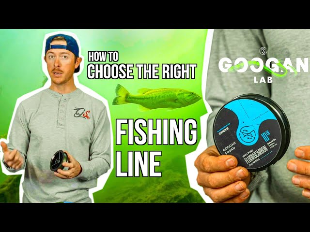 What Fishing Line to use? Complete Guide to Choosing Correctly