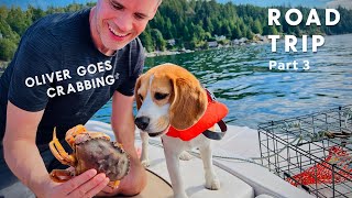 2022 road trip! Oliver goes crabbing (Part 3)