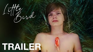 Little Bird - Trailer - Nqv Media