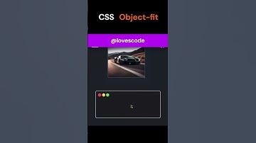 😍🚀CSS Tips Using Object Fit for Perfect Image Layouts