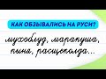 Как обзывались на Руси? 12 старинных русских слов, о которых вы не знаете! | Словарный запас