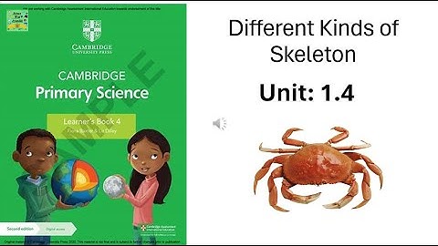 Cambridge primary science grade 4|Different kinds of Skeleton|Unit:1.4|chapter1:Living Things
