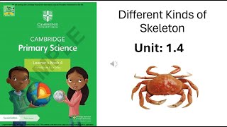 Cambridge primary science grade 4|Different kinds of Skeleton|Unit:1.4|chapter1:Living Things