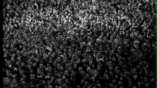 Tinnitus - Die Schale (1. FC Köln Fan-Song)