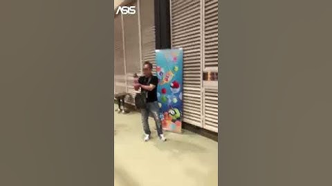 Indoor obstacle avoidance drone    Let