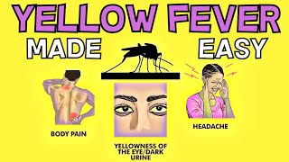 Yellow Fever Explained in 3 Minutes - Cause, Symptoms, Treatment