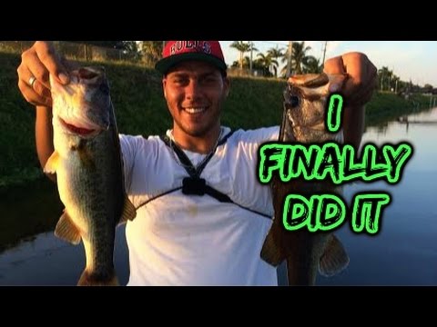 Peacock Bass And Bucket Mouths ( ft. sawgrassbassin )