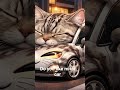 its cute