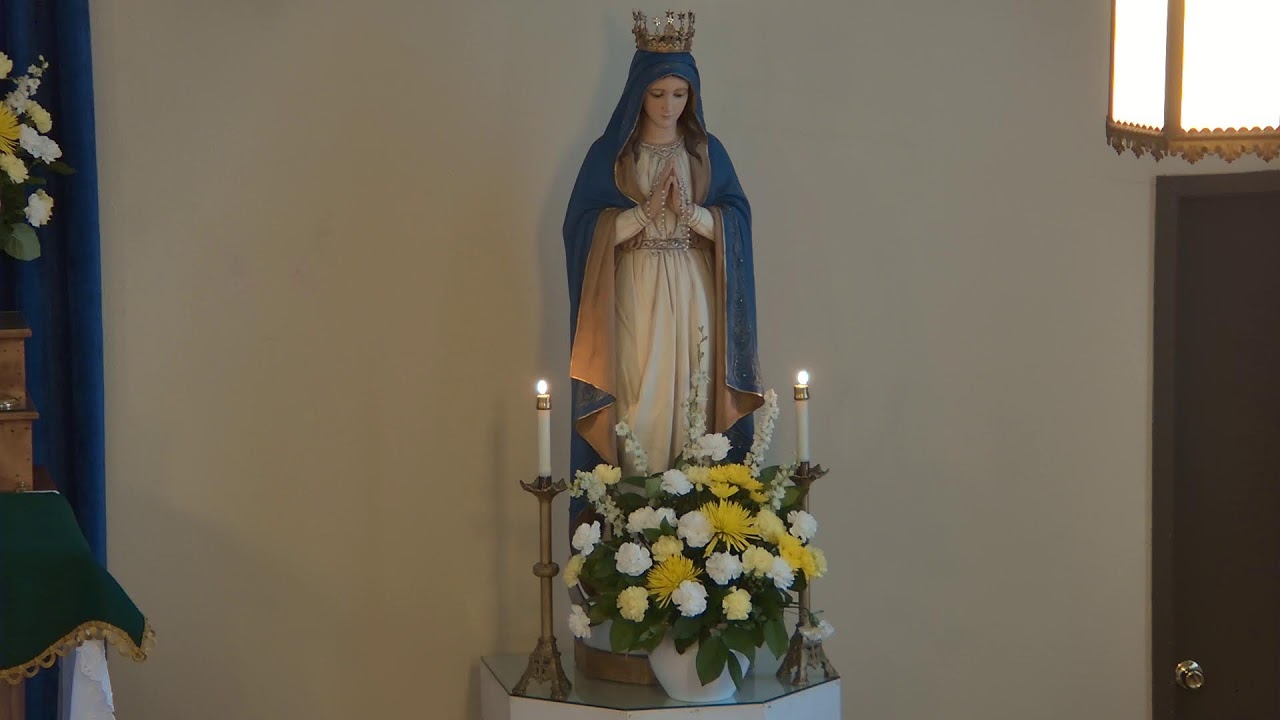 Rosary, June 8, 2026