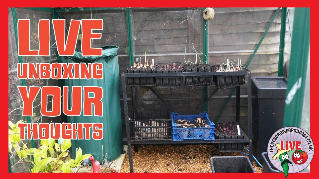 🔴live: Unboxing the Garden Press Event: Your Thoughts on the Latest Gardening Gifts