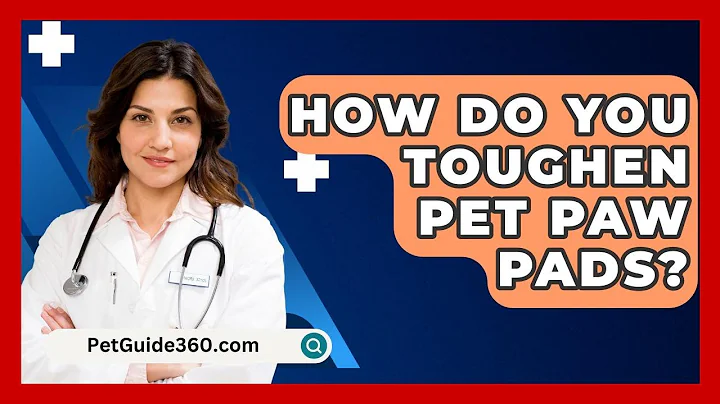 How Do You Toughen Pet Paw Pads? - PetGuide360.com