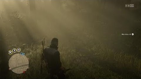 Red Dead Redemption 2_he failed at griefing me