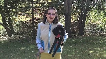 Katie and Caysie (Biology Vid 2) - The BioAssistant (Bioinformatics System To Aid Pharma. Research)