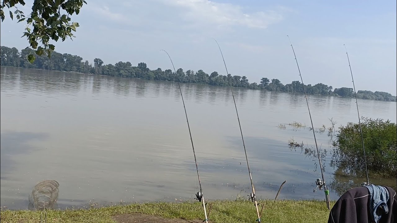 Pescuit cu uica Gore. În poiană la uica Gore. Făcut curățenie, prins pește frumos. Vedeți filmul. 😉