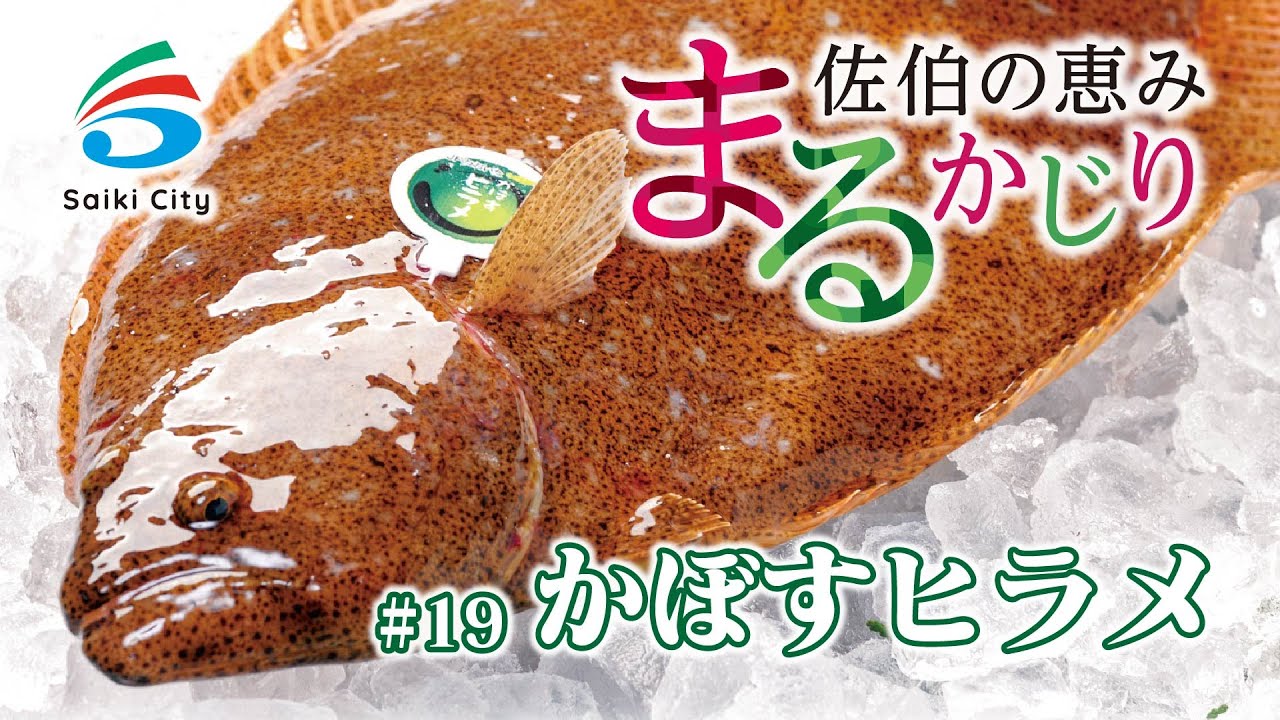 かぼすヒラメ (1尾・約1kg前後) ひらめ 平目 直送 漁師 養殖 魚 鮮魚