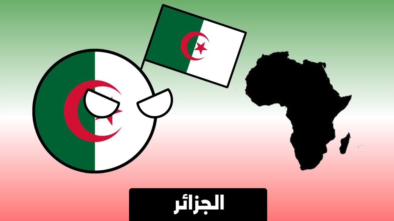 علاقة دول أفريقيا مع الجزائر 🇩🇿