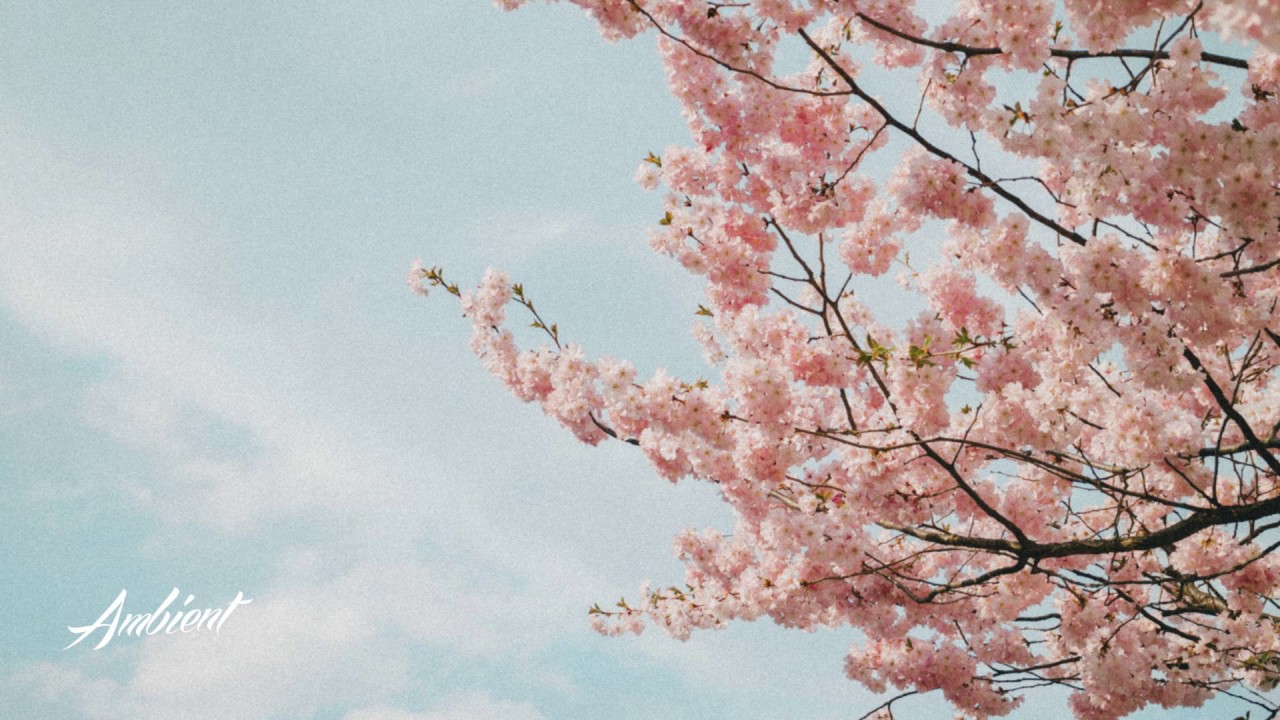 Jacob David - Intet Forbi (Hviledag Rework)