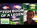 Legend mr gary langes fish tank room tour  setting up a fish room