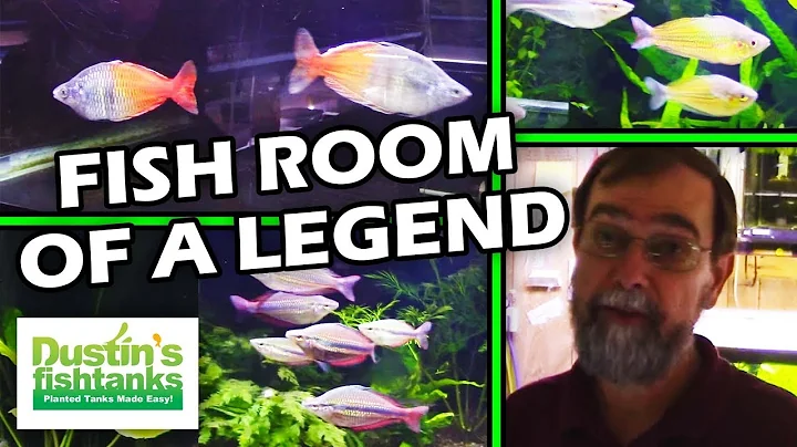Legend Mr. Gary Lange's Fish Tank Room Tour - Sett...