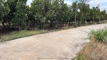 Bán 1.6 sào vườn mít gần dự án lan anh 10 đá bạc châu Đức Vũng tàu