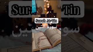 Download Lagu Surah At-tin #quran reels #islam MP3