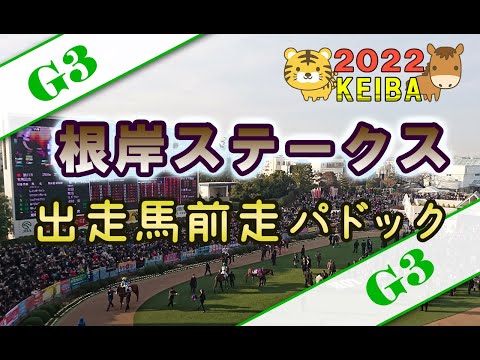 【競馬パドック】根岸S・前走パドック(2022年）