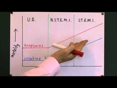 Heart disease 7, Cardiac markers