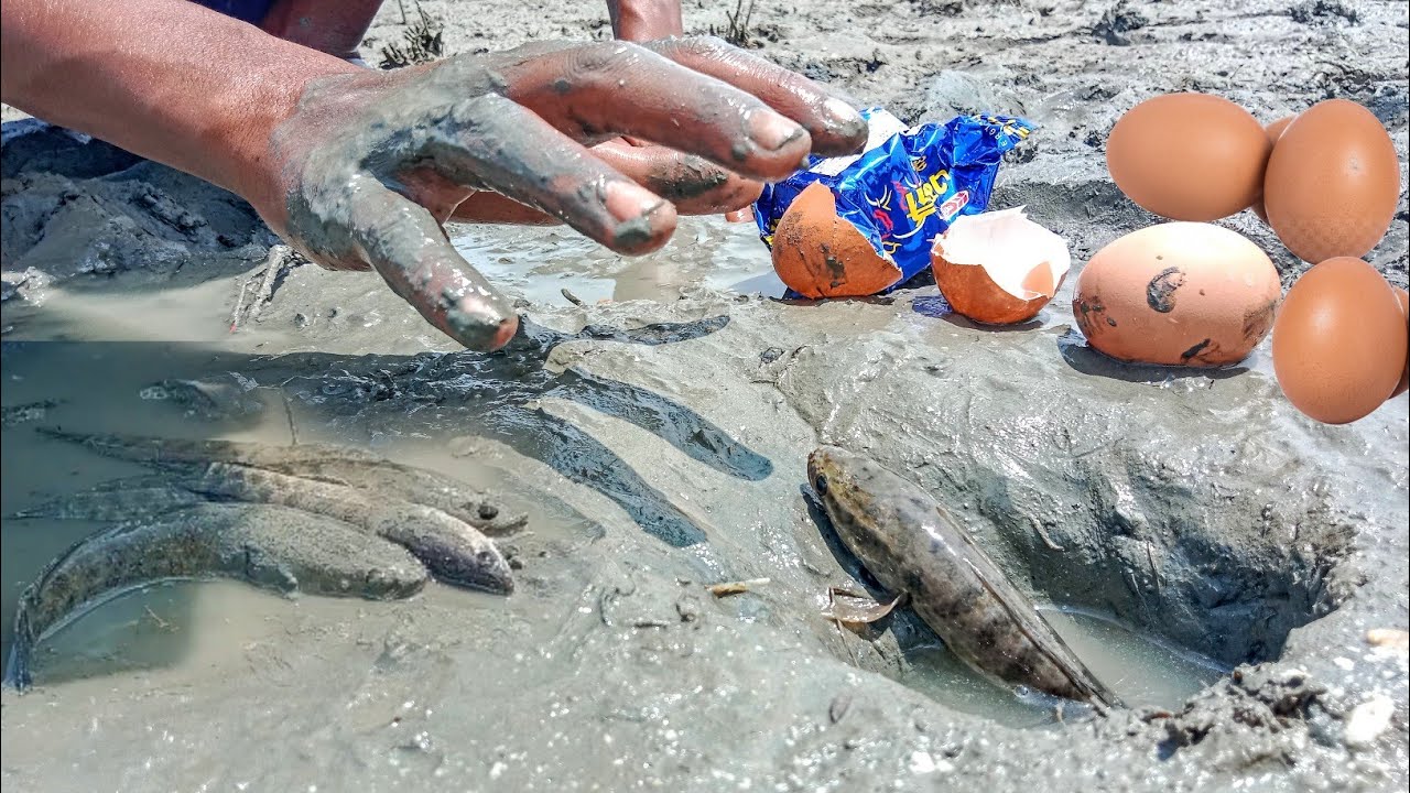 Unbelievable Fishing Technique Best Underground Fishing With Eggs