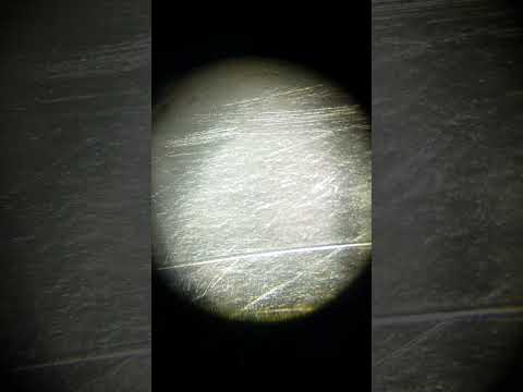 polyethene with bacteria